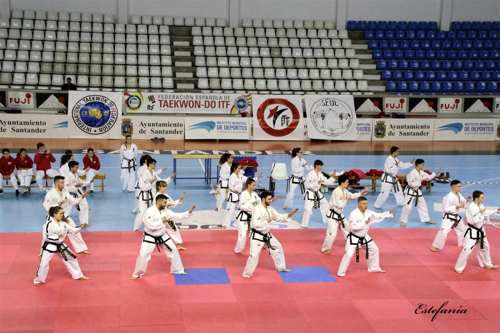Taekwondo (203).jpg